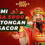 Situs Habanero Populer: Tempat Favorit Para Pencinta Game Online